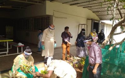 Tree Plantation Programme 2020
